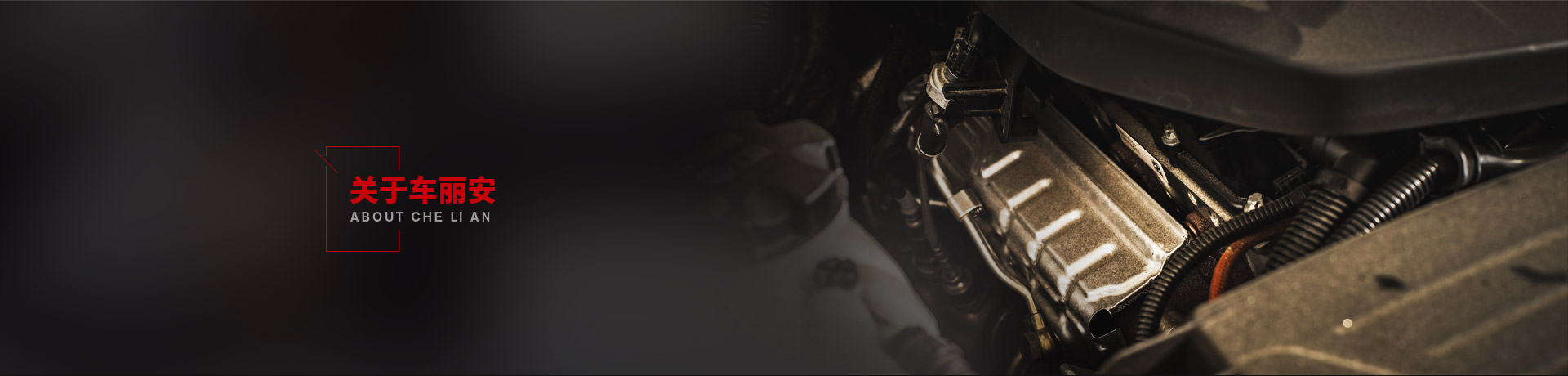 關(guān)于車麗安